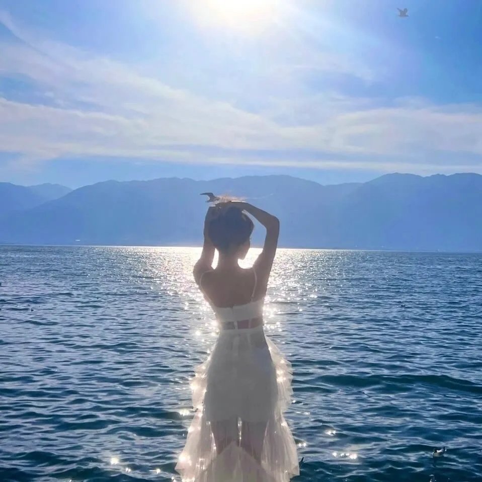 明星大侦探第六季